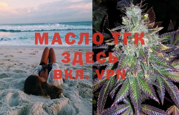 сатива Арсеньев