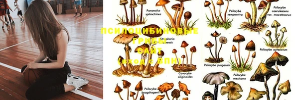 бутик Аркадак