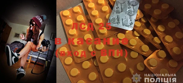 сатива Арсеньев